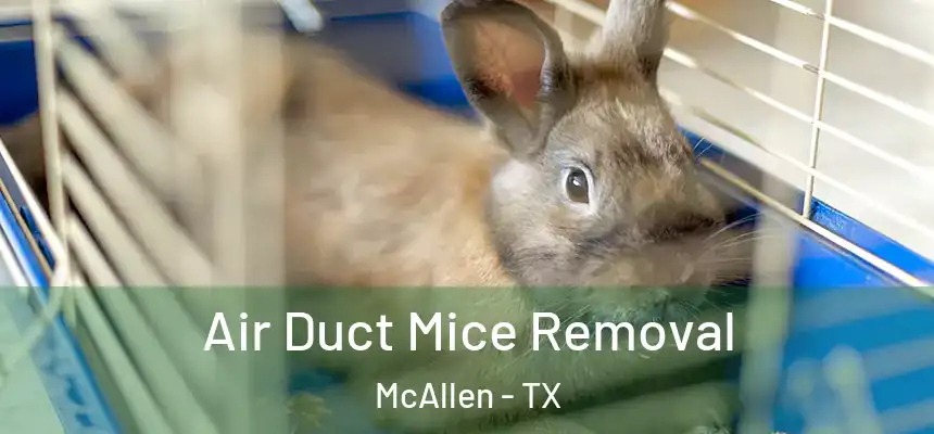 Air Duct Mice Removal McAllen - TX