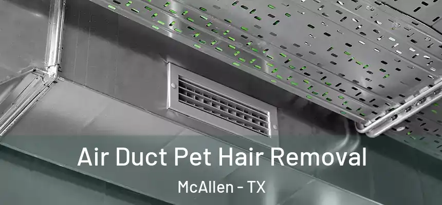 Air Duct Pet Hair Removal McAllen - TX