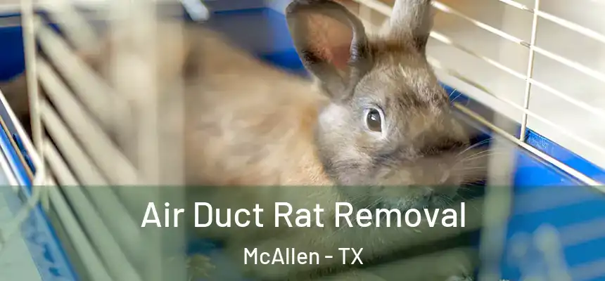 Air Duct Rat Removal McAllen - TX