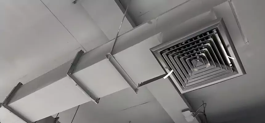 Our Rodent Droppings In Vents Services in McAllen, TX