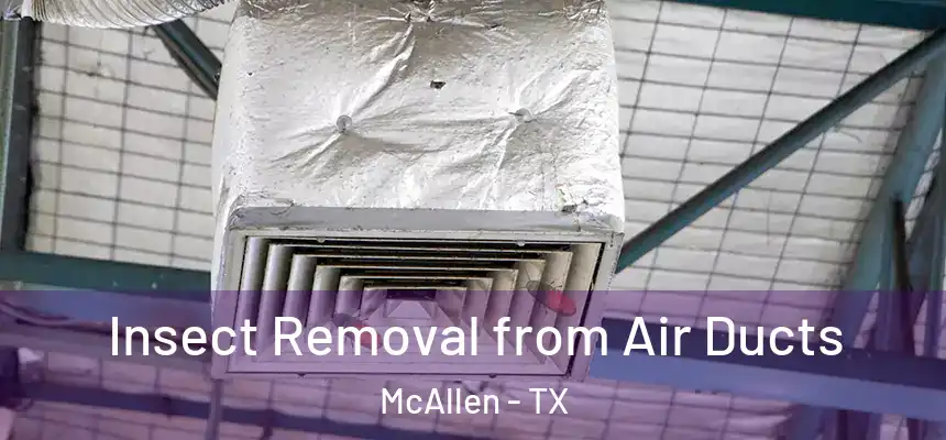 Insect Removal from Air Ducts McAllen - TX
