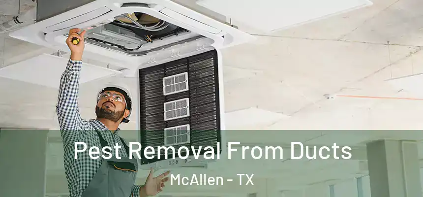 Pest Removal From Ducts McAllen - TX
