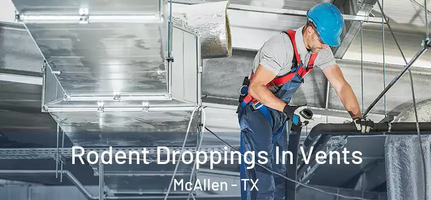 Rodent Droppings In Vents McAllen - TX