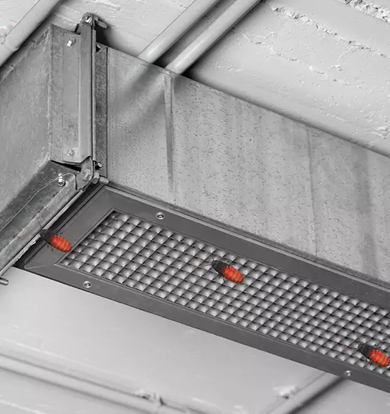 About Air Duct Cockroach Removal in McAllen, TX