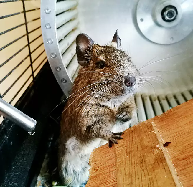 Why Homeowners & Businesses Trust Us McAllen, TX