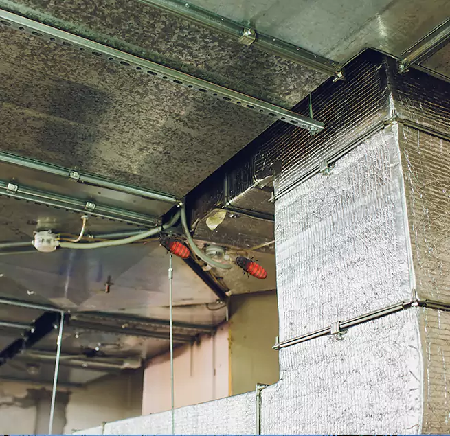 Why Homeowners & Businesses Trust Us McAllen, TX?